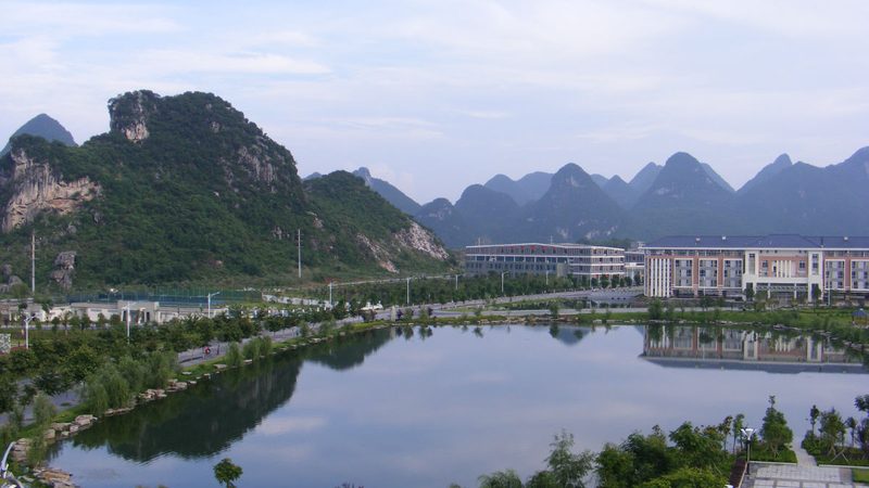 车载电子：老牌与新品牌的实力较量