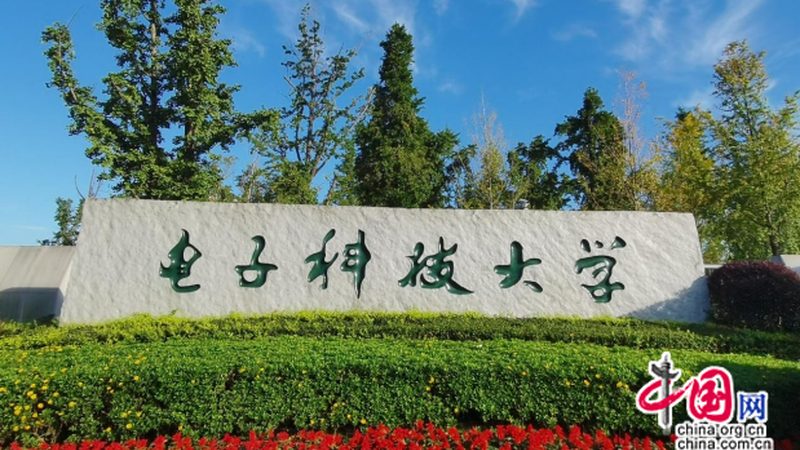 电子产品采购方案：如何从众多厂家中脱颖而出**